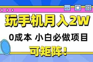 （14879期）玩玩手机月入20000+，0成本小白必做项目，可矩阵