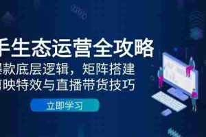 （14728期）快手生态运营全攻略：爆款底层逻辑，矩阵搭建，剪映特效与直播带货技巧
