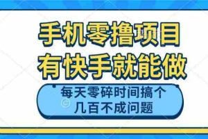 （14687期）手机零撸项目，有快手就可以做，每天零碎时间搞个几百块不成问题