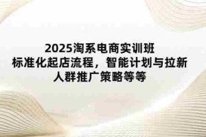 （14522期）2025淘系电商实训班：标准化起店流程，智能计划与拉新，人群推广策略等等