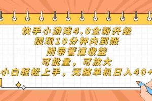 （14442期）快手小游戏4.0升级，提现10分钟内到账，可批量，可放大，小白可轻松上…