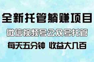 （14425期）全新托管躺赚项目，微信视频号公众号托管代运营，每天五分钟，收益大几百