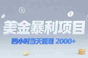 （15251期）美金暴利项目，四小时当天提现 2000+机会留给会选赛道的人