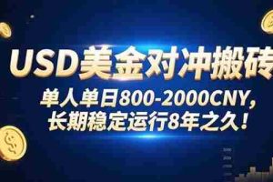 （15551期）USD美金对冲搬砖!单人单日800-2000CNY，长期稳定运行8年之久!