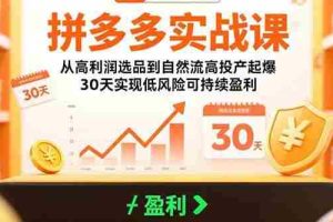 （15586期）拼多多实战课：从高利润选品到自然流高投产起爆 30天实现低风险可持续盈利