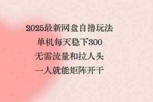 （15831期）2025最新网盘自撸玩法，单机每天稳下3张，无需流量和拉人头，一个人就…