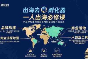 （15857期）出海去 孵化器 一人出海必修课：从品牌构建到商业落地的全流程实战方法