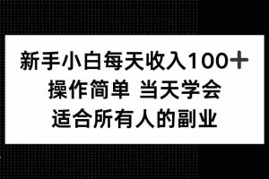 （15937期）新手小白每天收入100+，操作简单 当天学会 ，适合所有人的副业