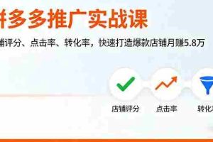 （16115期）拼多多推广实战课，店铺评分、点击率、转化率，快速打造爆款店铺月赚5.8万