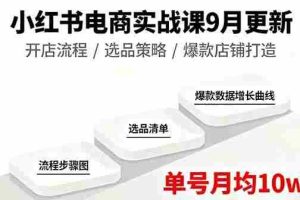 （16120期）小红书电商实战课9月更新，开店流程/选品策略/爆款店铺打造，单号月均10w+