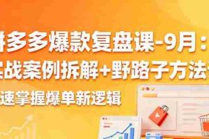 （16176期）拼多多爆款复盘课-9月：实战案例拆解+野路子方法论，快速掌握爆单新逻辑
