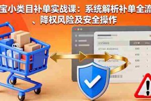 （16239期）淘宝小类目补单实战课：系统解析补单全流程、降权风险及安全操作