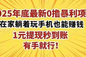 （16419期）2025年底最新0撸暴利项目，在家也能躺赚，1元秒提现，有手就行！