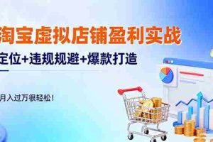 （16387期）淘宝虚拟店铺盈利实战：定位+违规规避+爆款打造，月入过万很轻松！