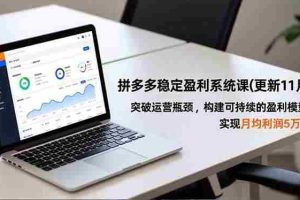 （16641期）拼多多稳定盈利系统课(更新11月)，突破运营瓶颈，构建可持续的盈利模型，实现月均利润5万+