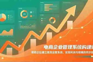 （16643期）电商企业管理系统构建课：帮助企业建立高效运营系统，实现利润与规模的同步跃升