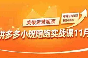 （16654期）拼多多小班陪跑实战课11月，强付费矩阵、原价活动、暗券引流，突破运营瓶颈，单店日利润破5000