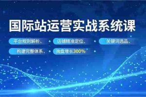 (16751期)国际站运营实战系统课,平台规则解析、店铺精准定位、关键词选品,构建完整体系询盘增长300%