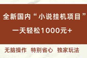(16833期)全新国内小说挂G项目,多窗口无脑跑,一天轻松1k+,特别省心【揭秘】